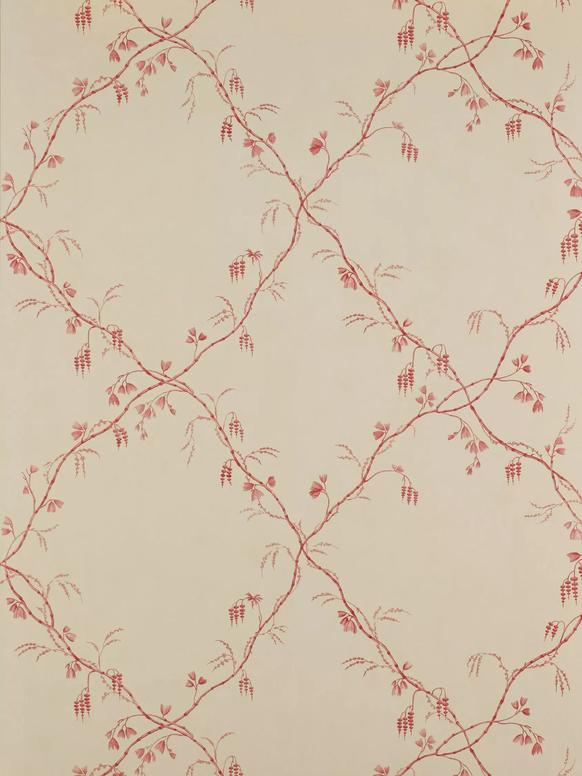 Colefax and Fowler Roussillon Wallpaper