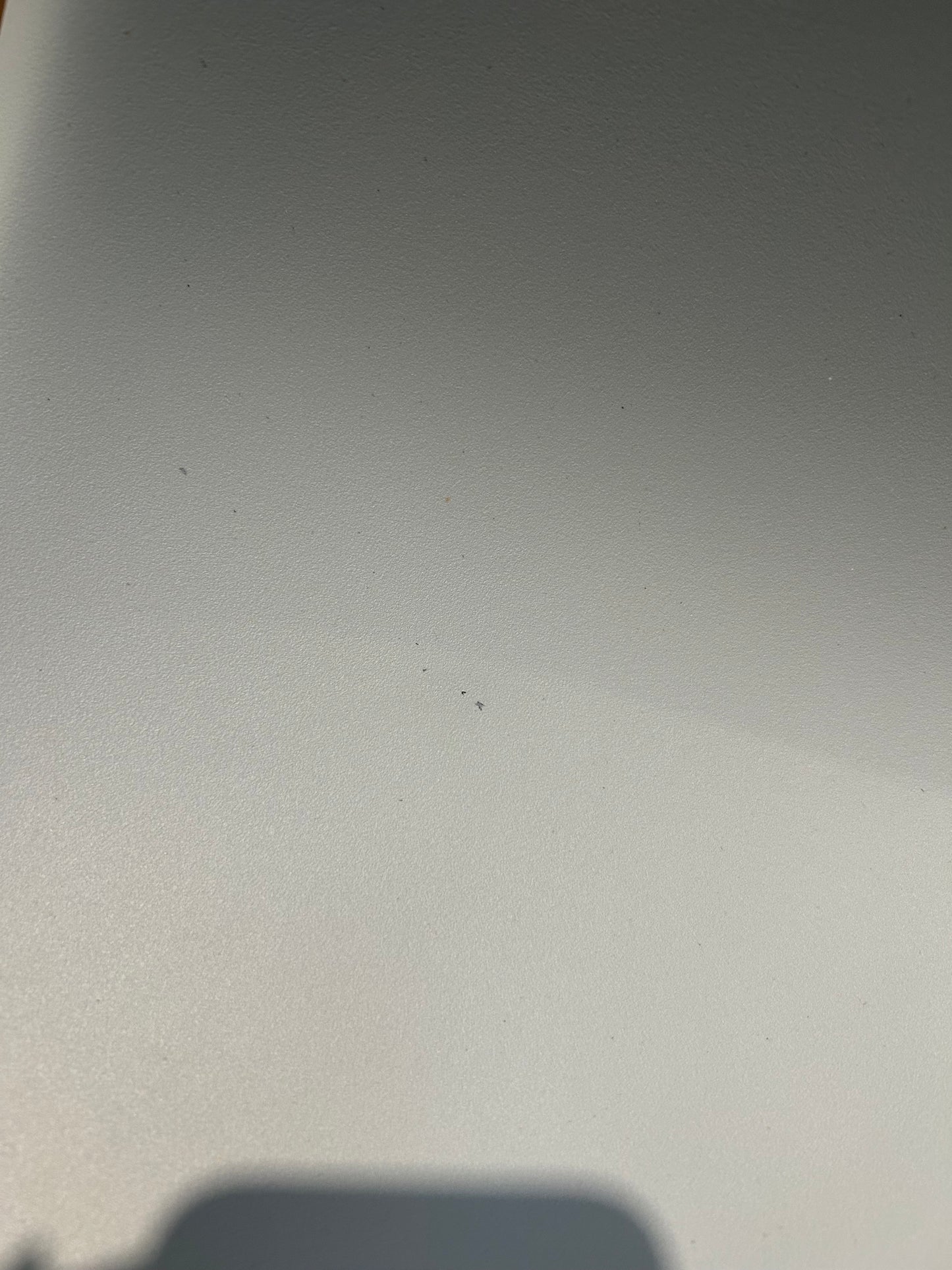 Vitra Eames RE DSR Recycled Plastic Chair, Chrome Legs, Light Grey