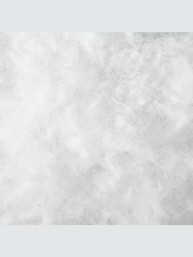 John Lewis Natural Collection Hungarian Goose Down Duvet, 13.5 Tog, Single