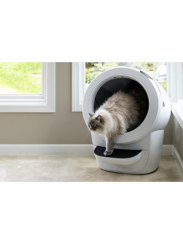 Litter-Robot 4 Smart Self-Cleaning Cat Litter Box, White