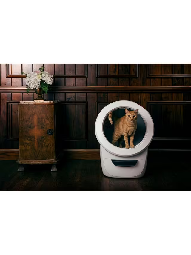 Litter-Robot 4 Smart Self-Cleaning Cat Litter Box, White