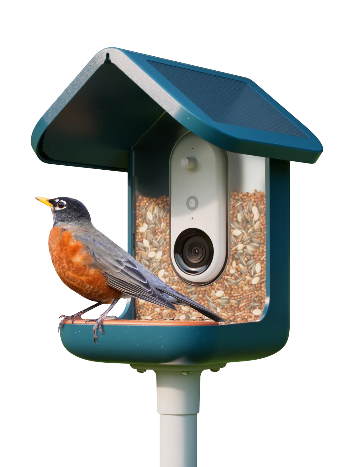 Bird Buddy PRO Camera Bird Feeder, Blue
