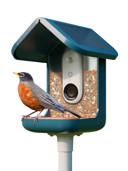 Bird Buddy PRO Camera Bird Feeder, Blue