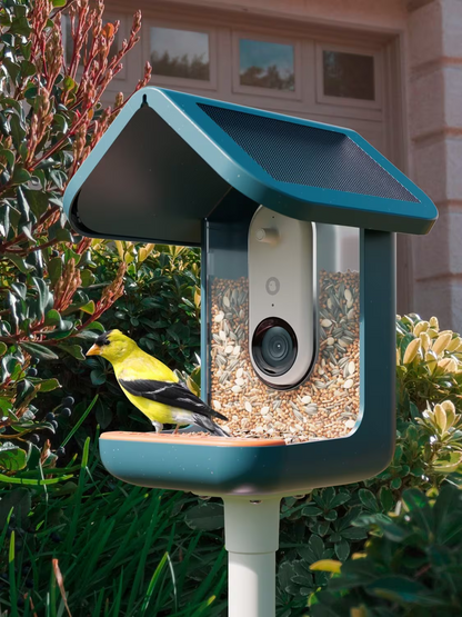 Bird Buddy PRO Camera Bird Feeder, Blue