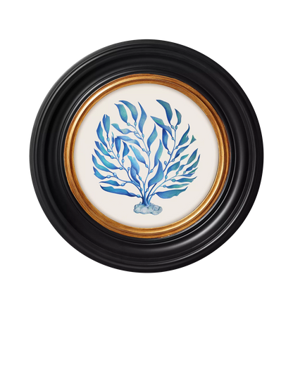 Brookpace Lascelles 'Ocean Feather' Round Porthole Framed Print, 36cm, Blue