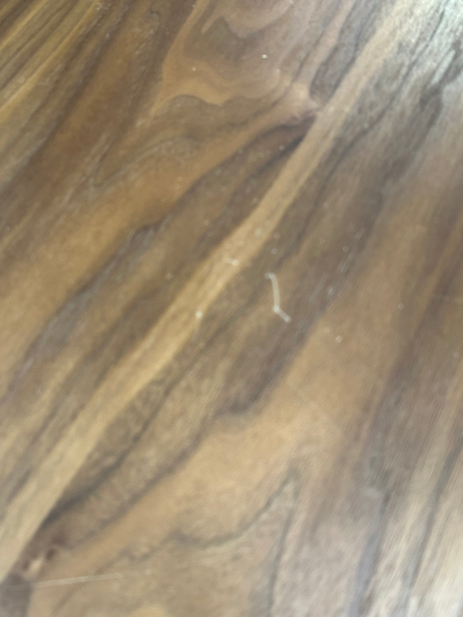 DRUM COFFEE TBL BLACK