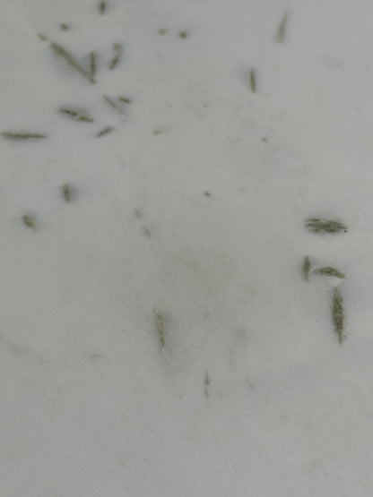 John Lewis Jewel Marble 4 Seater Pedestal Dining Table, White/Gold